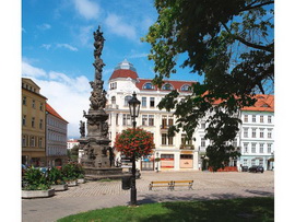 Чумная колонна