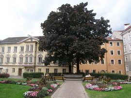 Фотоотчет Инсбрук