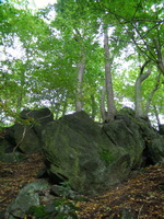 Замок и город Локет